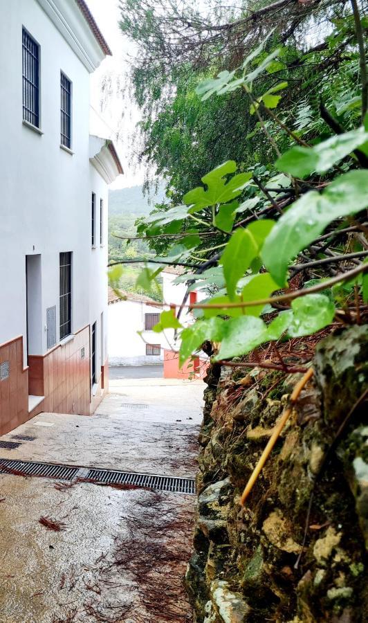 فيلا La Casa Junto Al Sendero Del Rio & Piscina # Aire Acondicionado Los Romeros المظهر الخارجي الصورة